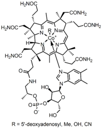 Vitamin B12 Cobalamin