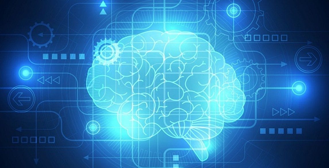 brain 1 brain