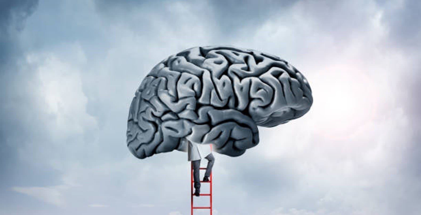 brain 2 brain 2