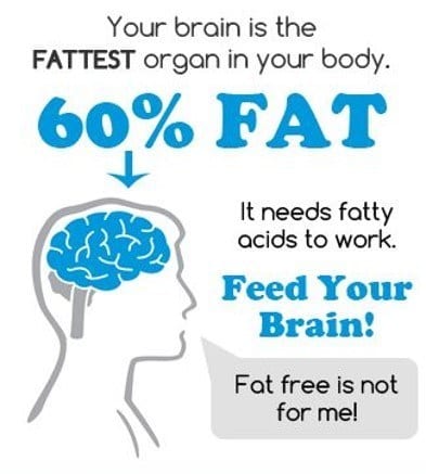 brain fattest organ 60 fat