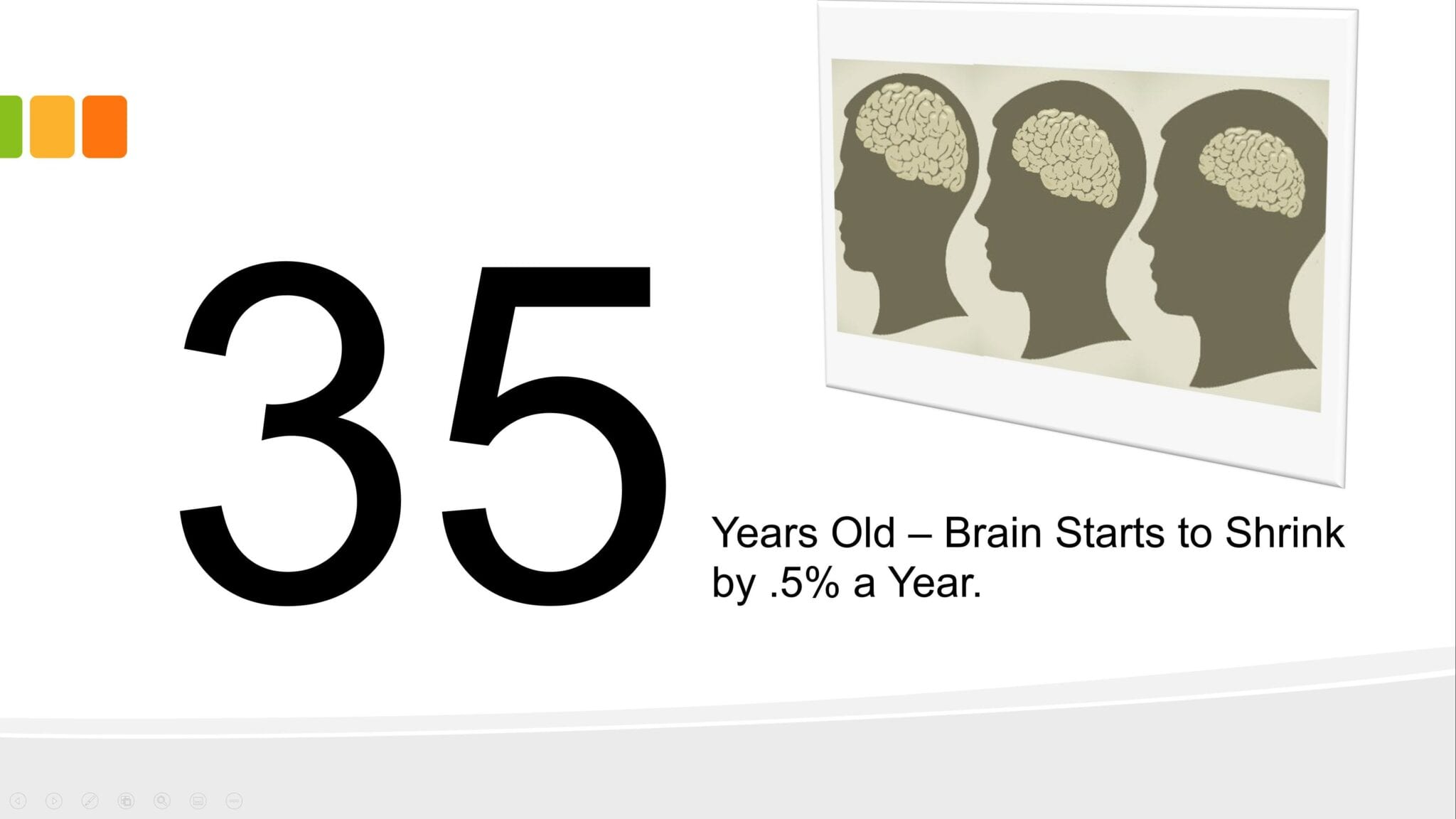 brain shrink1