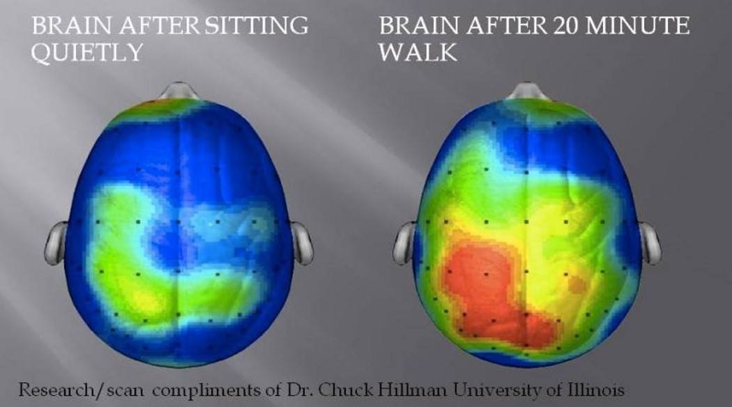 brain sitting vs walking brain