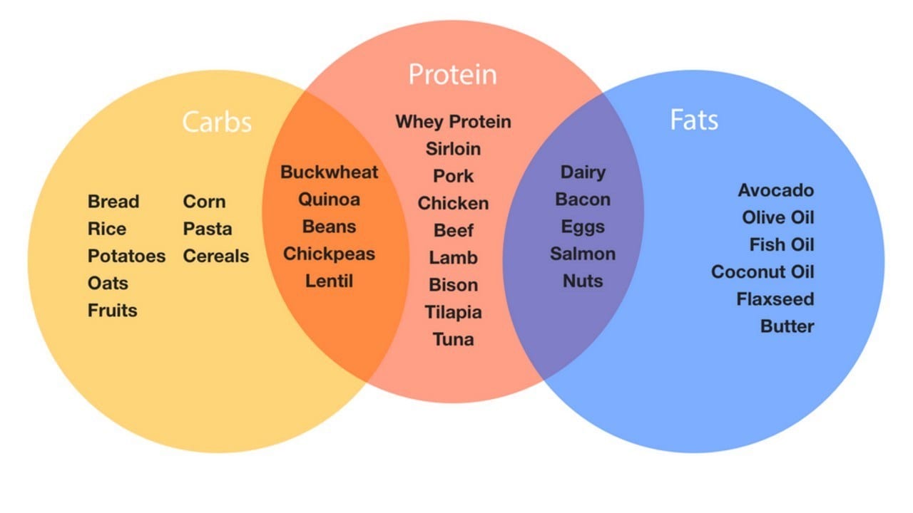 carbs protein fats carbs protein fats