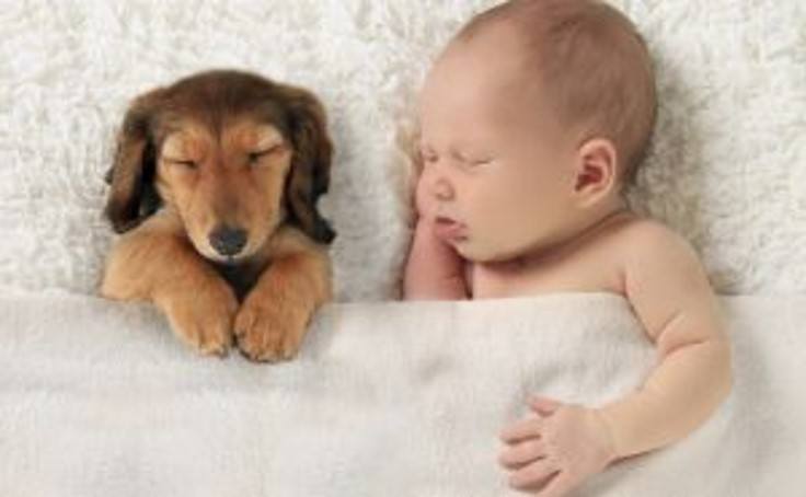 quality sleep quality sl