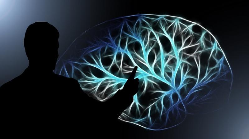 repair brain damage