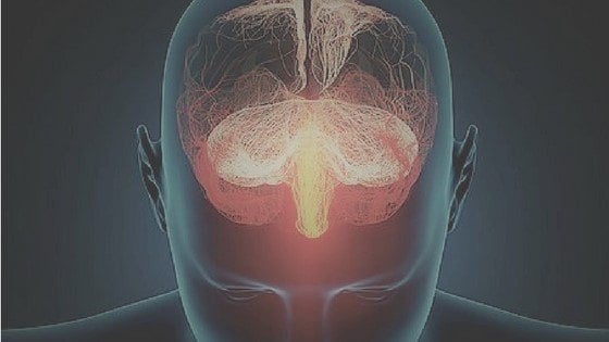 sleep-loss-brain-cells