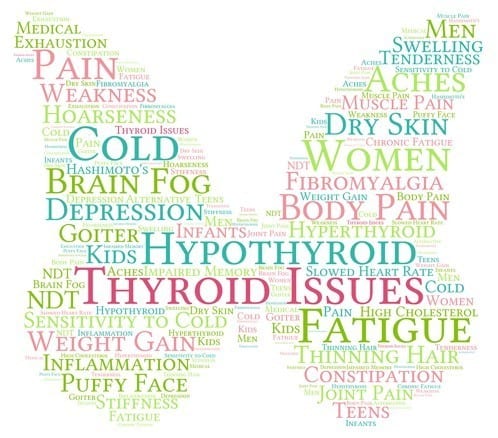 thyroid issues thyroid issue