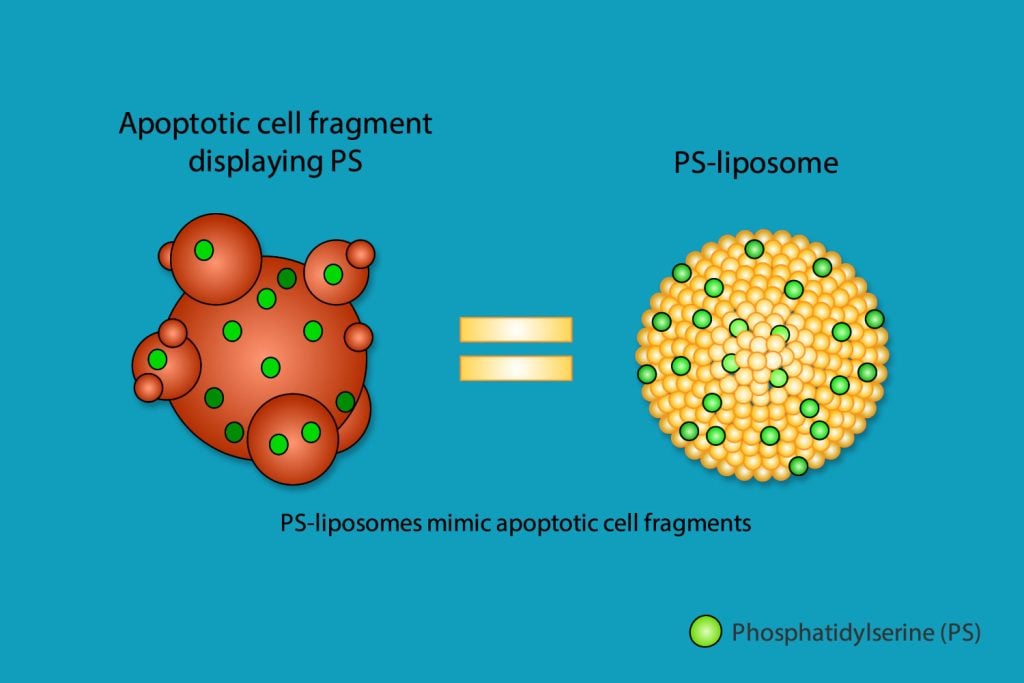 ps-liposomes_graphic1_web